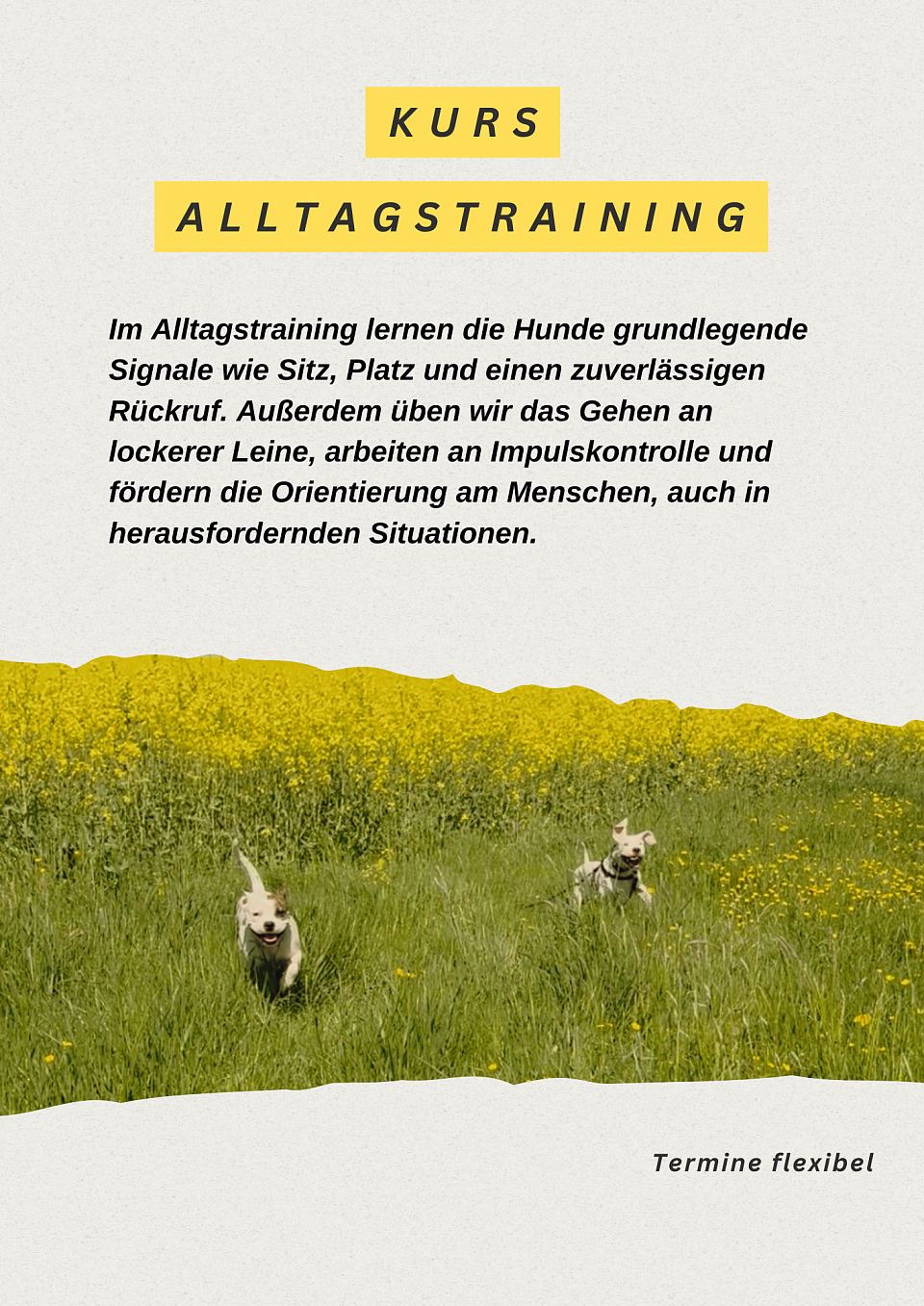 Alltagstraining